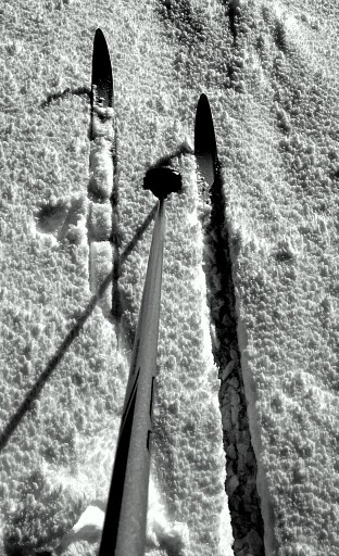 CV ski fond 30 janv 2011 013