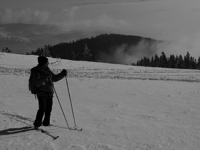 CV ski fond 30 janv 2011 017