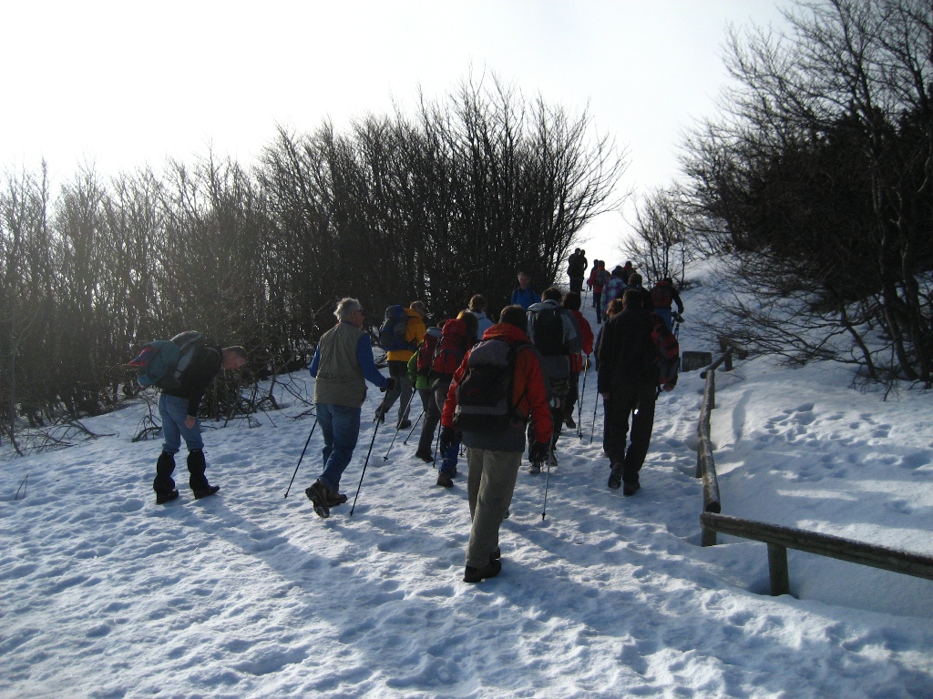 12  Grand Ballon