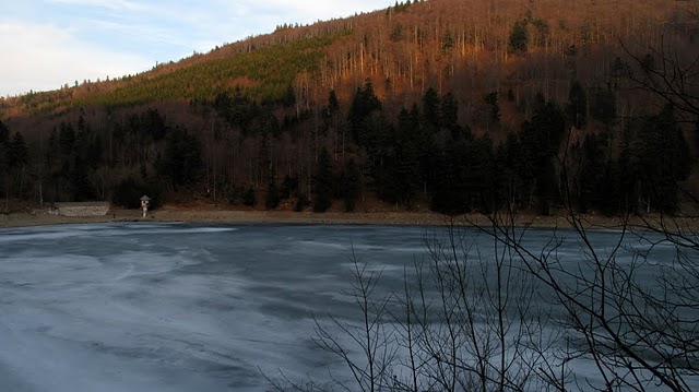 50     12 13 fevr 2011