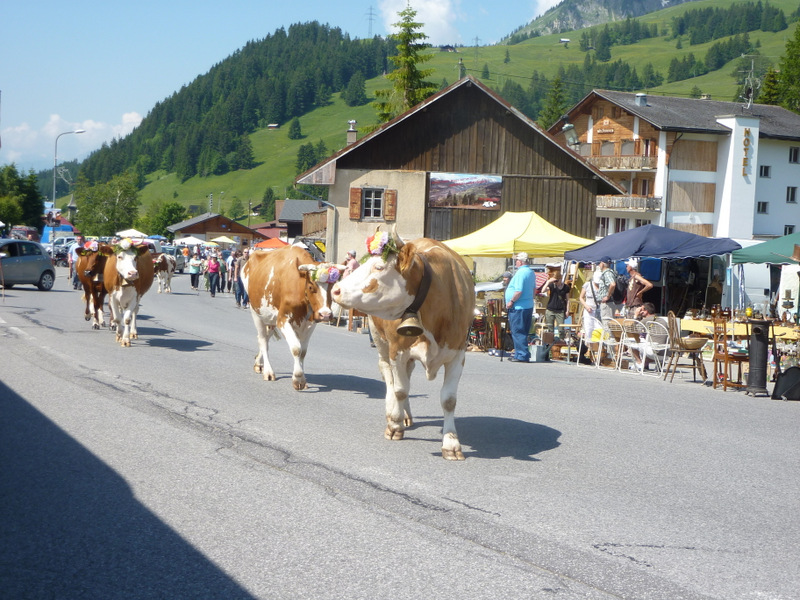 37-CVD LEYSIN 106 (3)