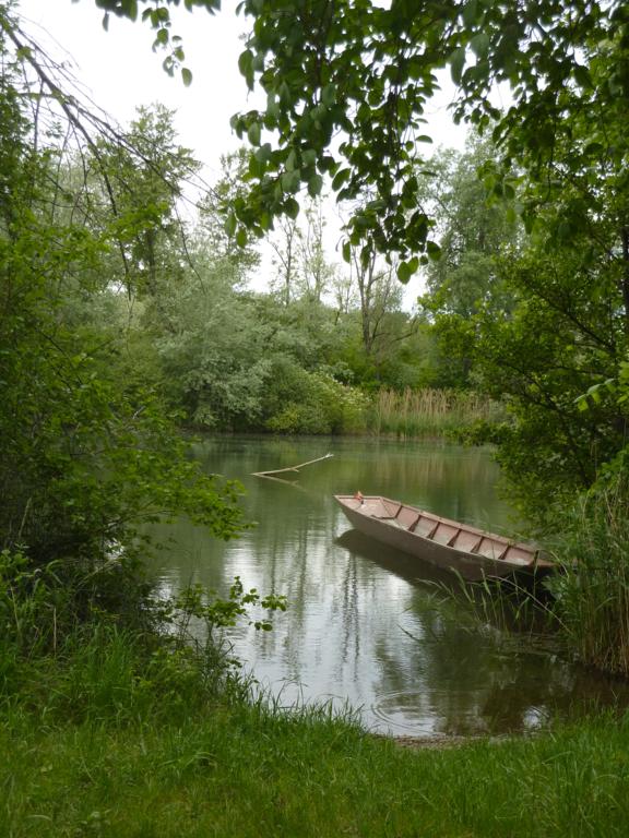 Ztaubergiessen 060514 010 576x768