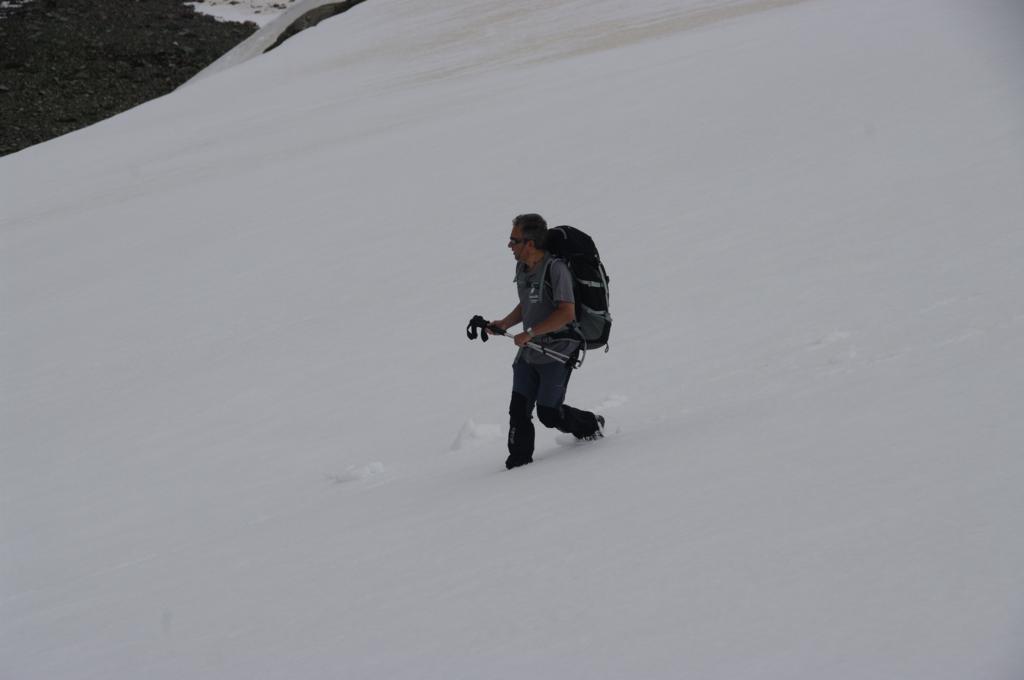  IGP1341 10-01-2014