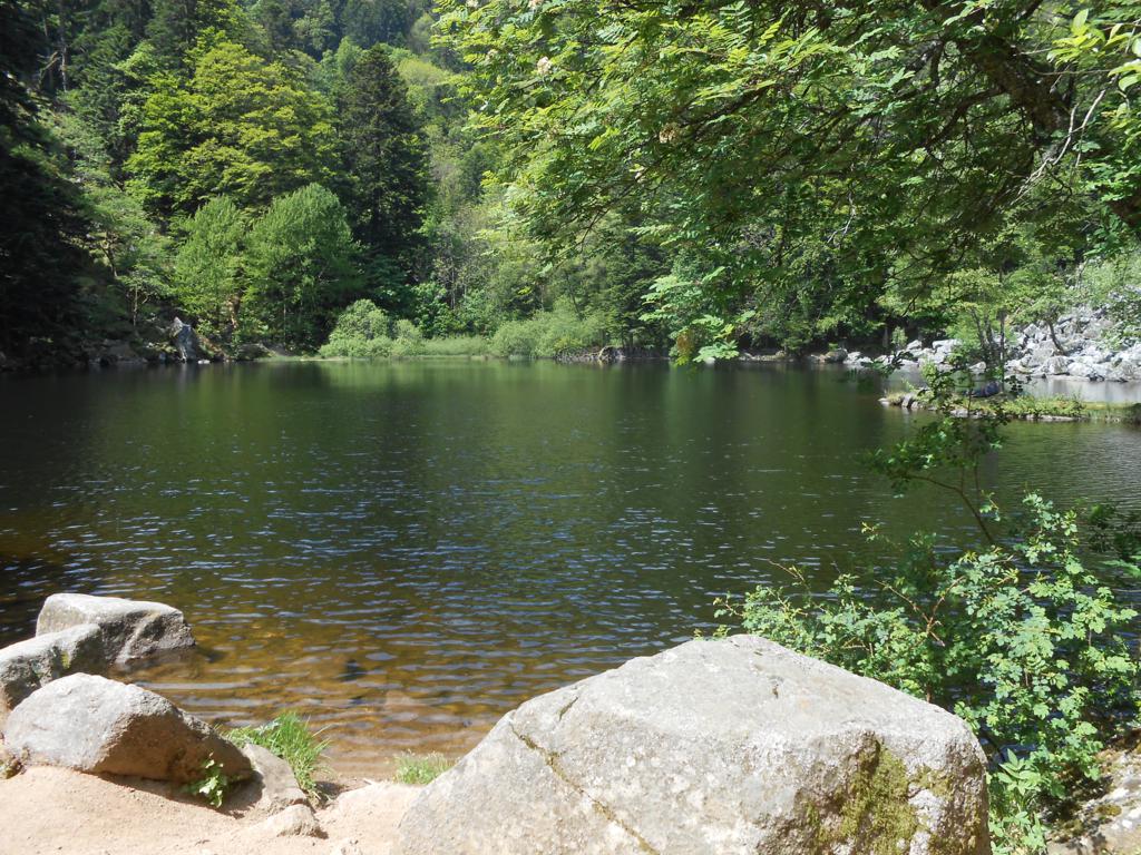 DSCN7352 06-16-2015