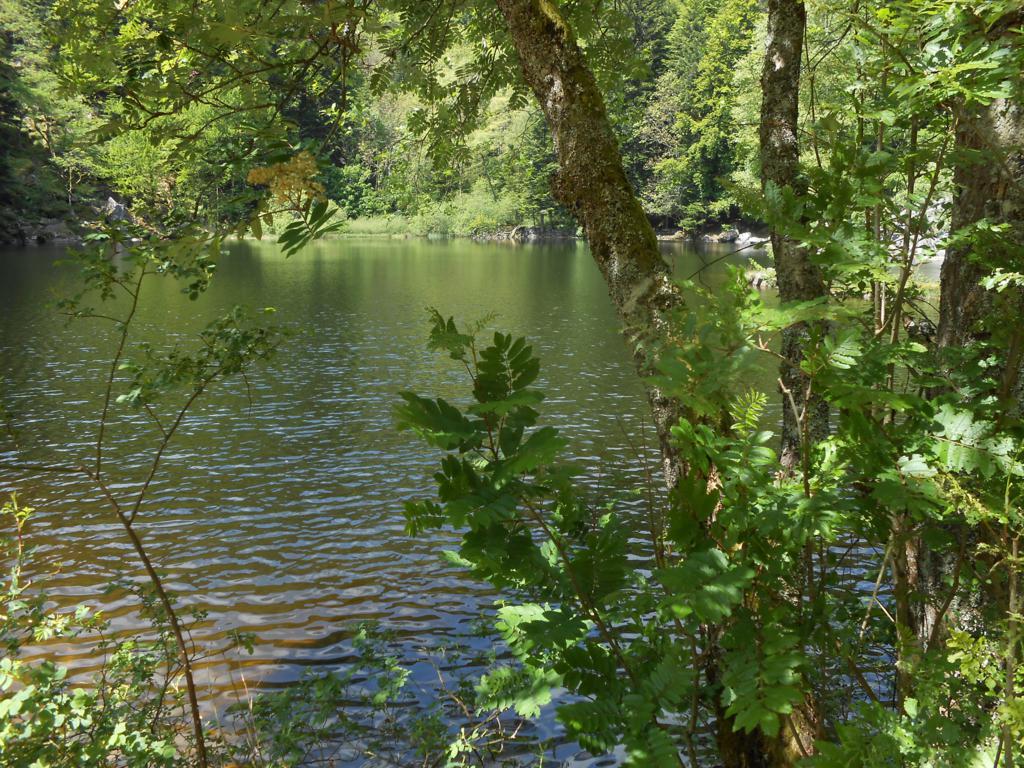 DSCN7353 06-16-2015