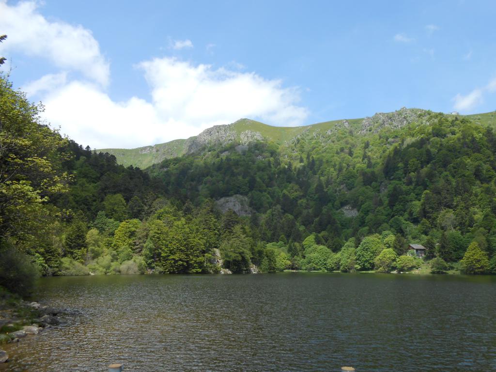 DSCN7354 06-16-2015
