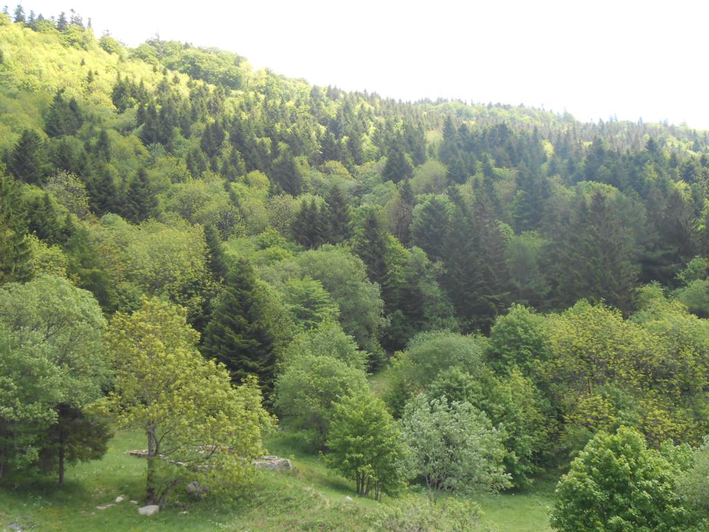 DSCN7358 06-16-2015