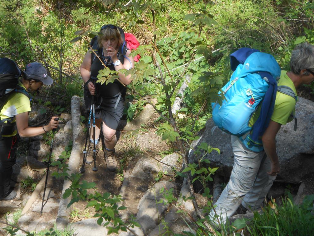 DSCN7367 06-16-2015