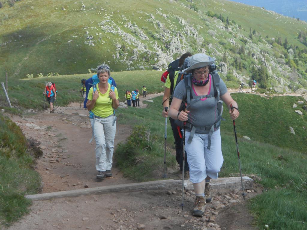DSCN7374 06-16-2015