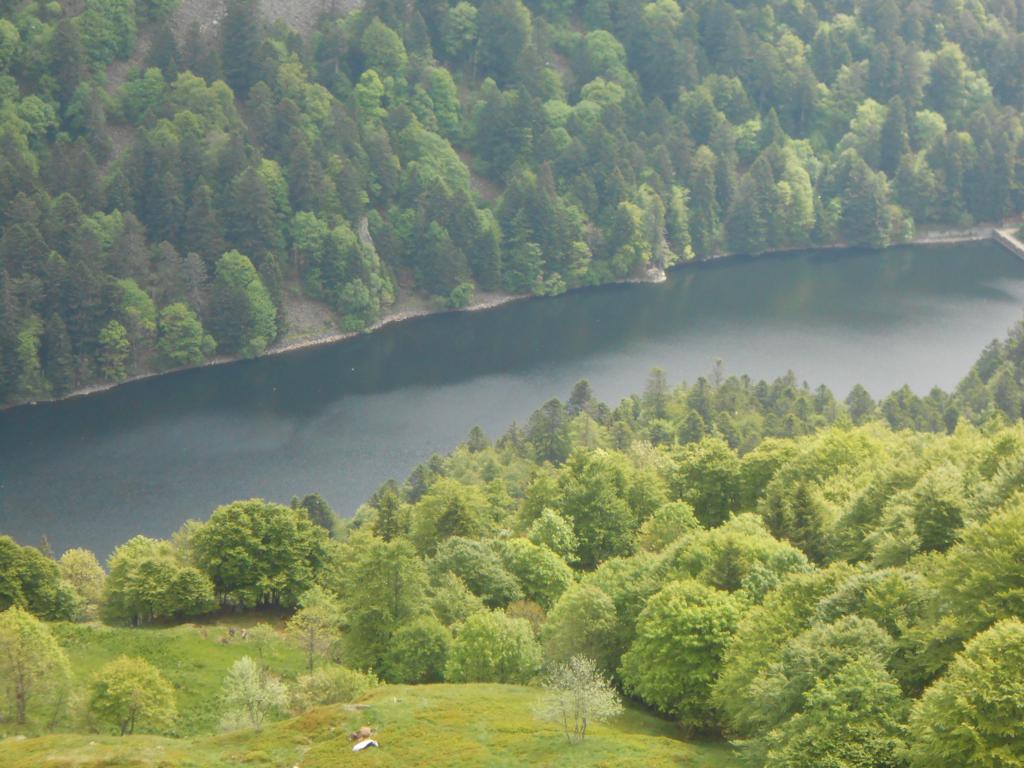 DSCN7400 06-16-2015