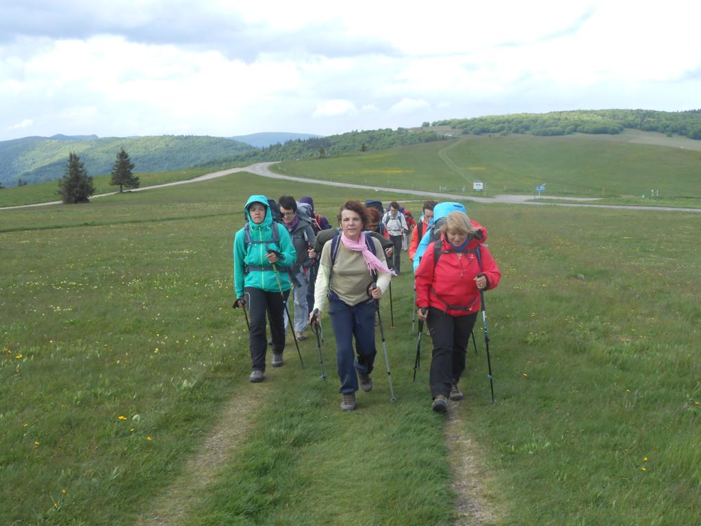 DSCN7409 06-16-2015