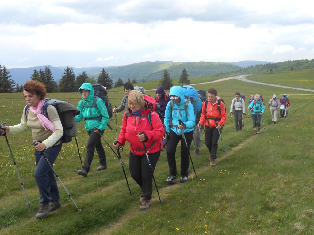 DSCN7410 06-16-2015