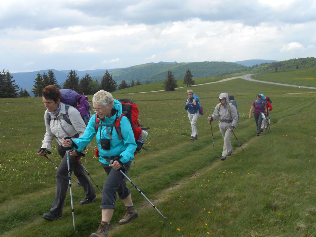 DSCN7411 06-16-2015