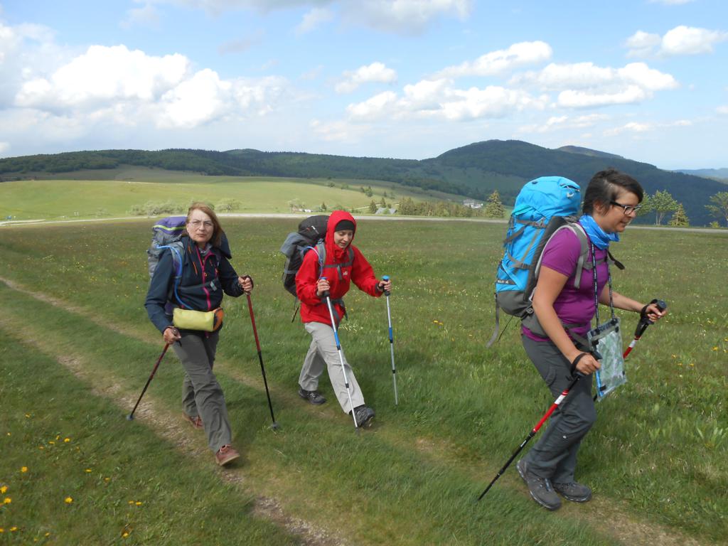 DSCN7415 06-16-2015
