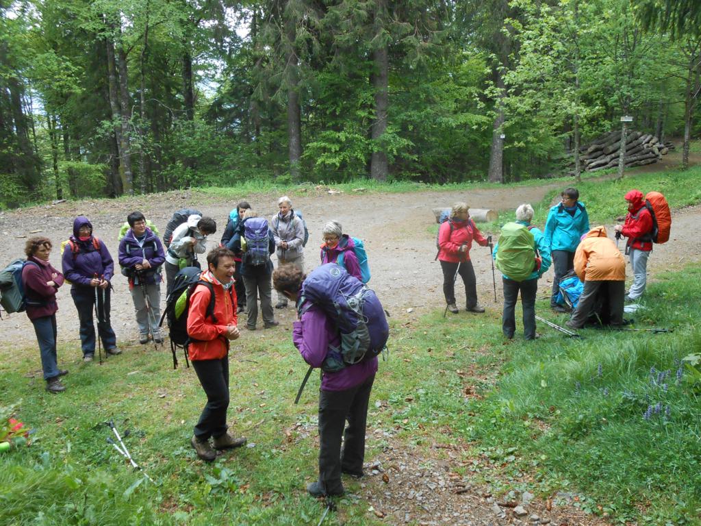DSCN7435 06-16-2015