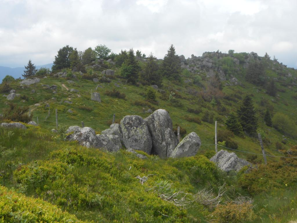 DSCN7449 06-16-2015