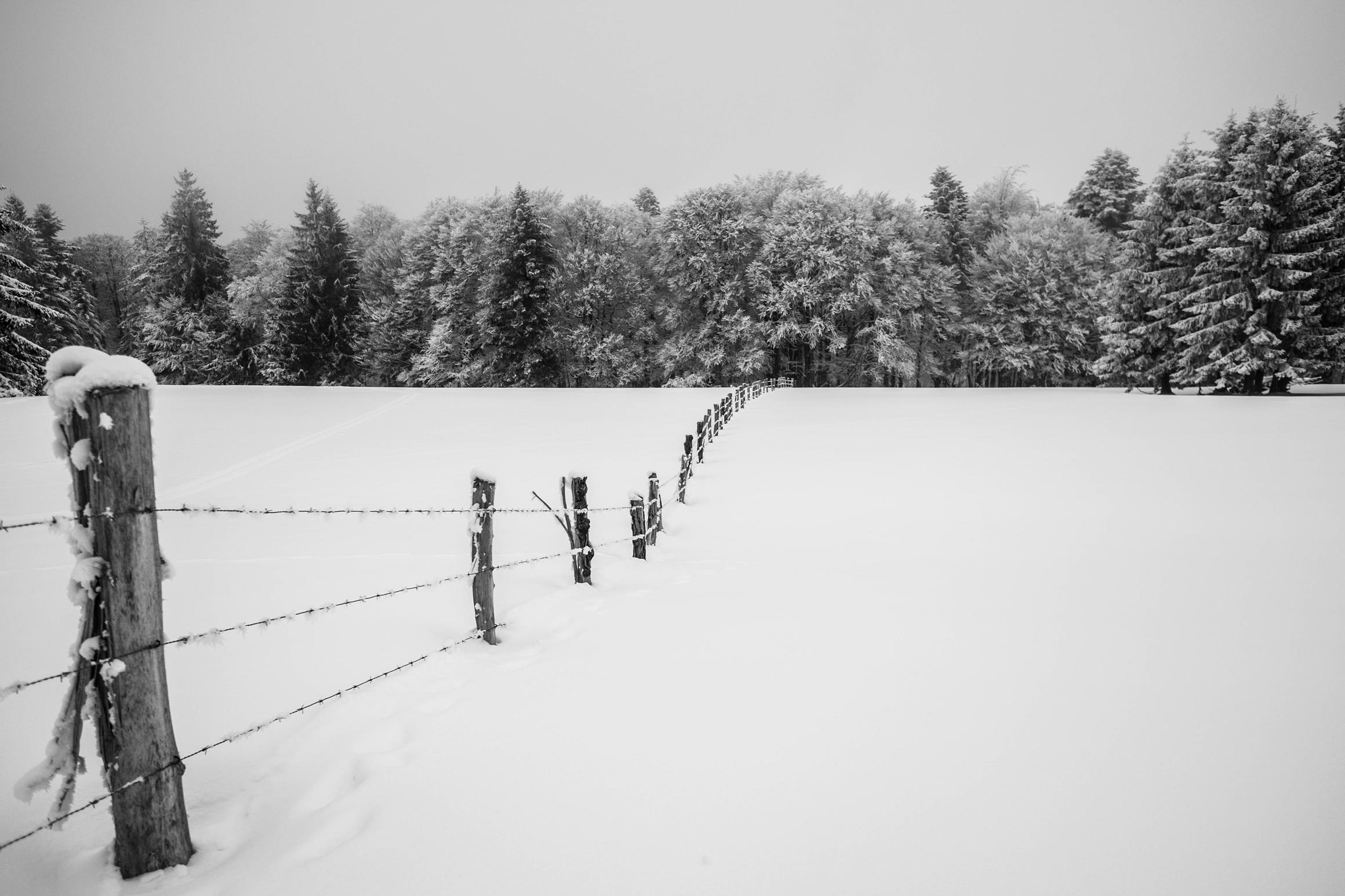 Photo Arie 015 15-02-2018
