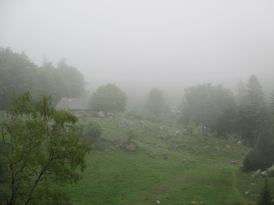 Photos Benoit 012 14-05-2018