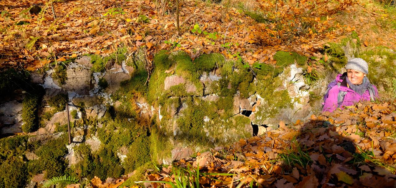 Hartmannswillerkopf Arie A005 23-11-2018