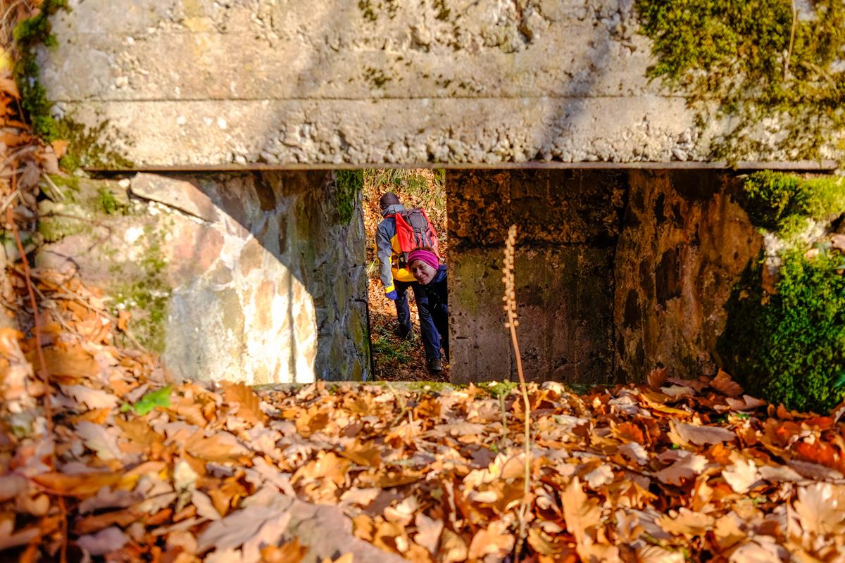 Hartmannswillerkopf Arie A006 23-11-2018
