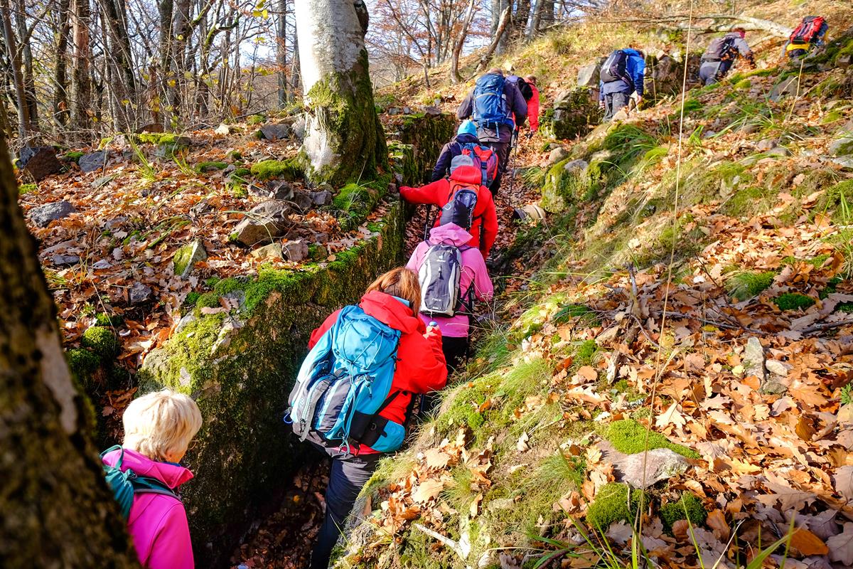 Hartmannswillerkopf Arie A008 23-11-2018