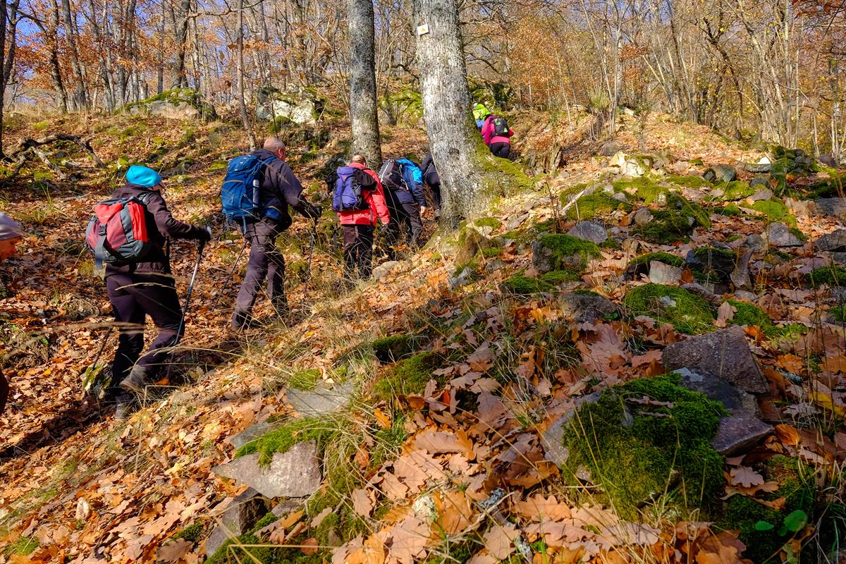 Hartmannswillerkopf Arie A009 23-11-2018