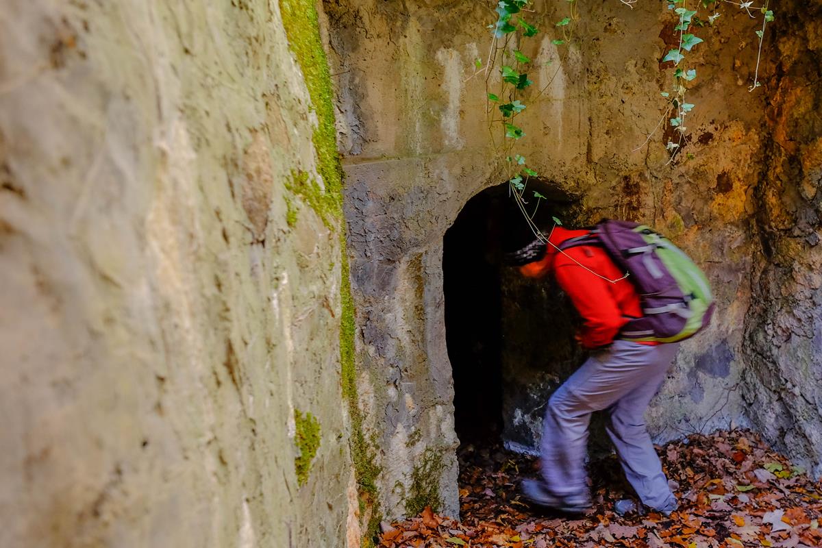 Hartmannswillerkopf Arie A011 23-11-2018