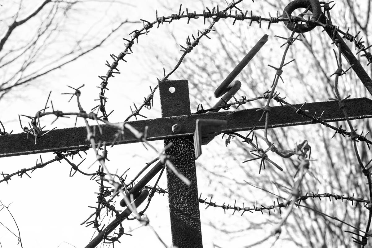 Hartmannswillerkopf Arie A021 23-11-2018