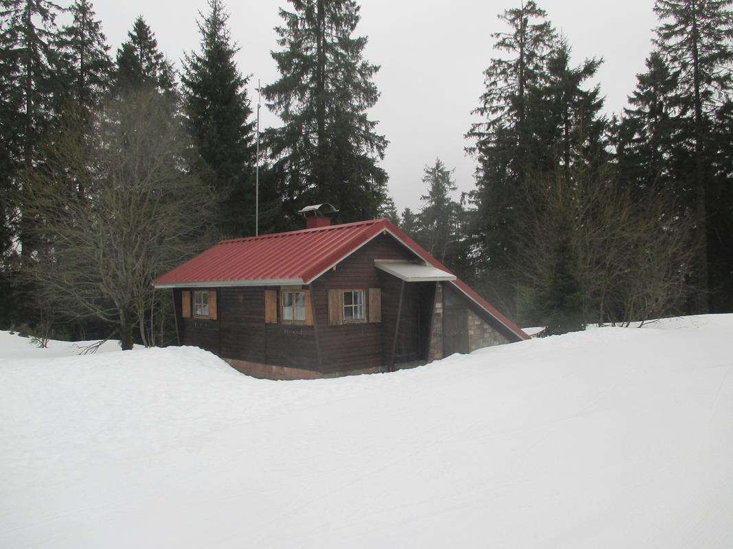 IMG 5228 31-01-2018