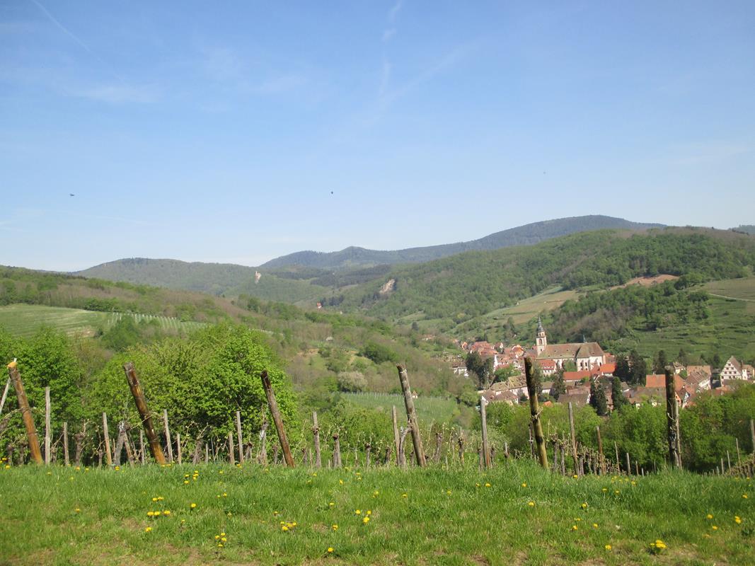 Photos Benoit 005 23-04-2018