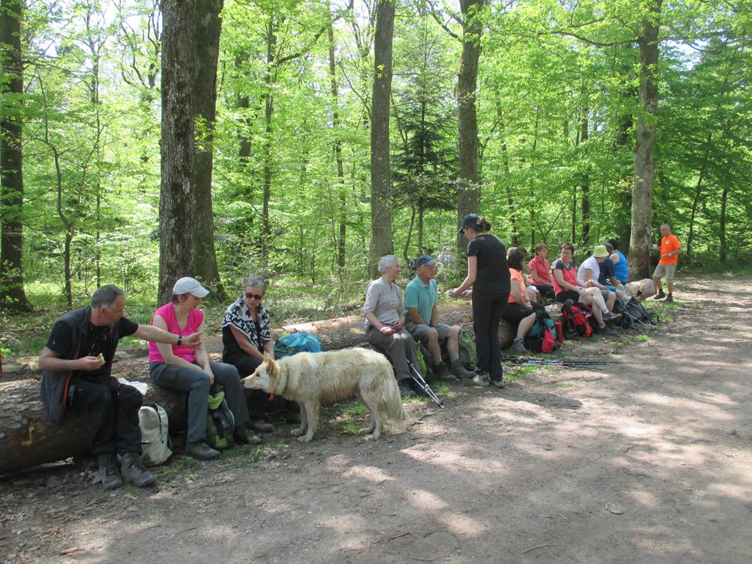 Photos Benoit 009 23-04-2018