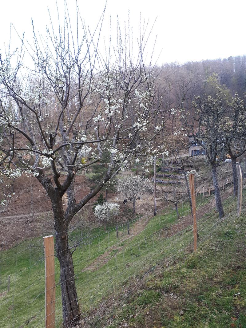 MChristine A001 02-04-2019