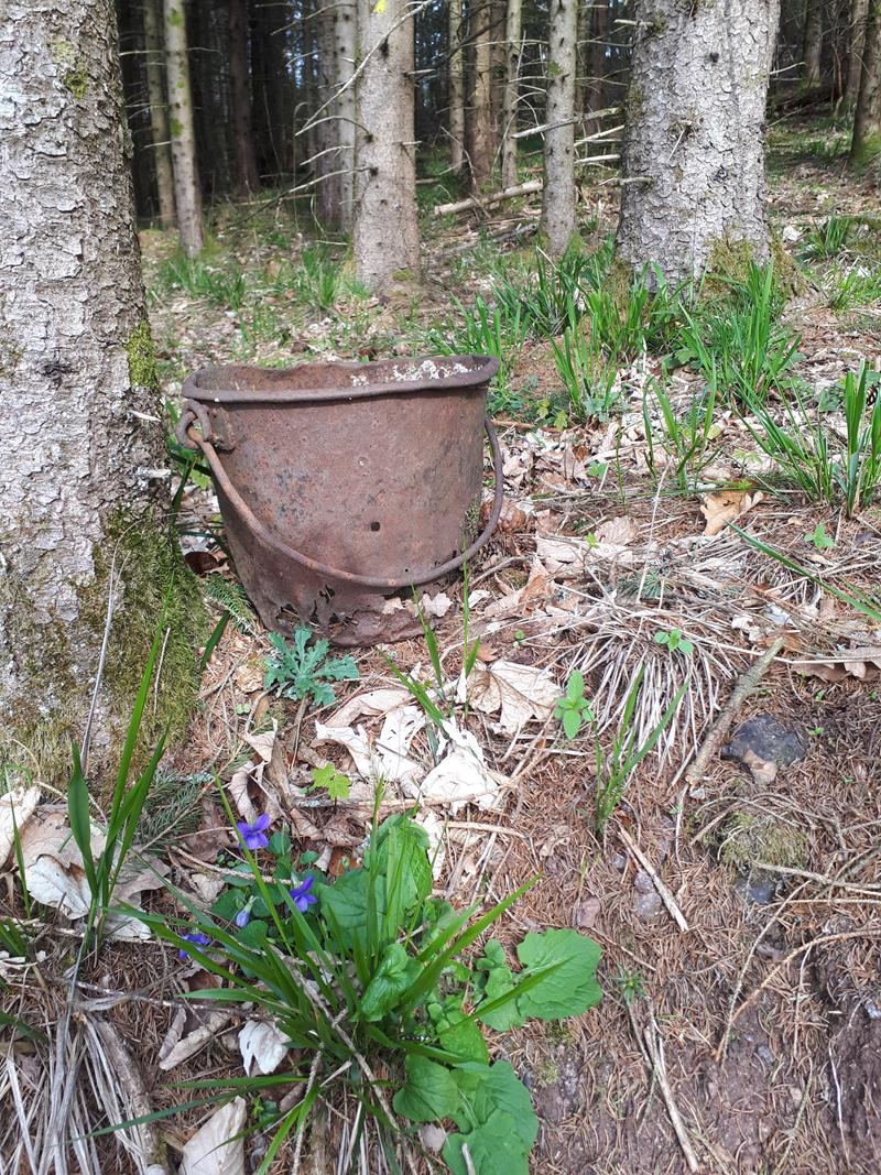 MChristine A007 02-04-2019