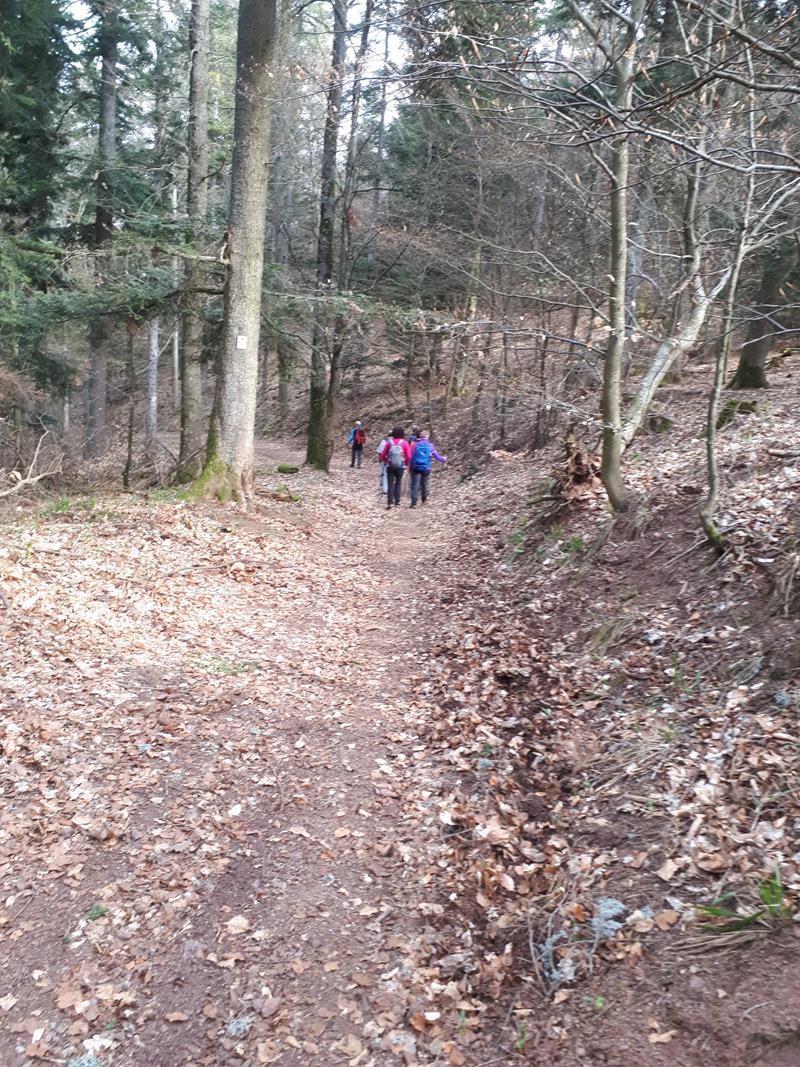 MChristine A008 02-04-2019