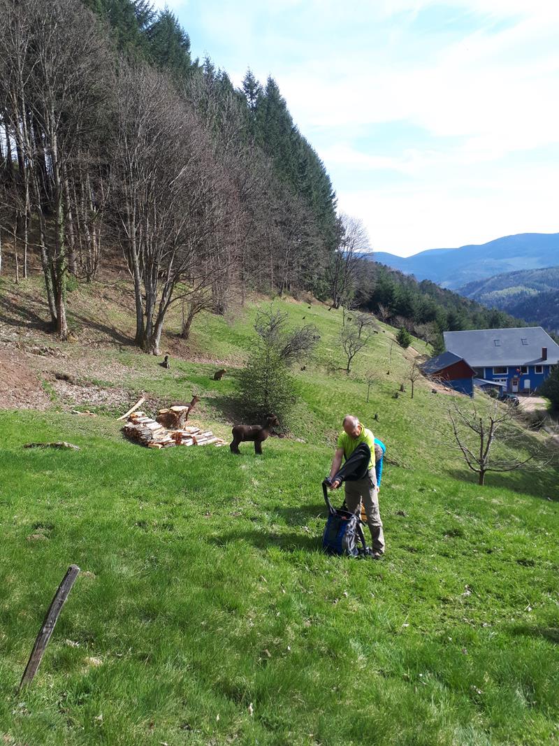 MChristine A012 02-04-2019