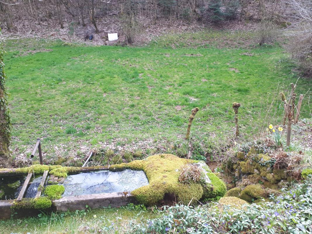 MChristine A019 02-04-2019