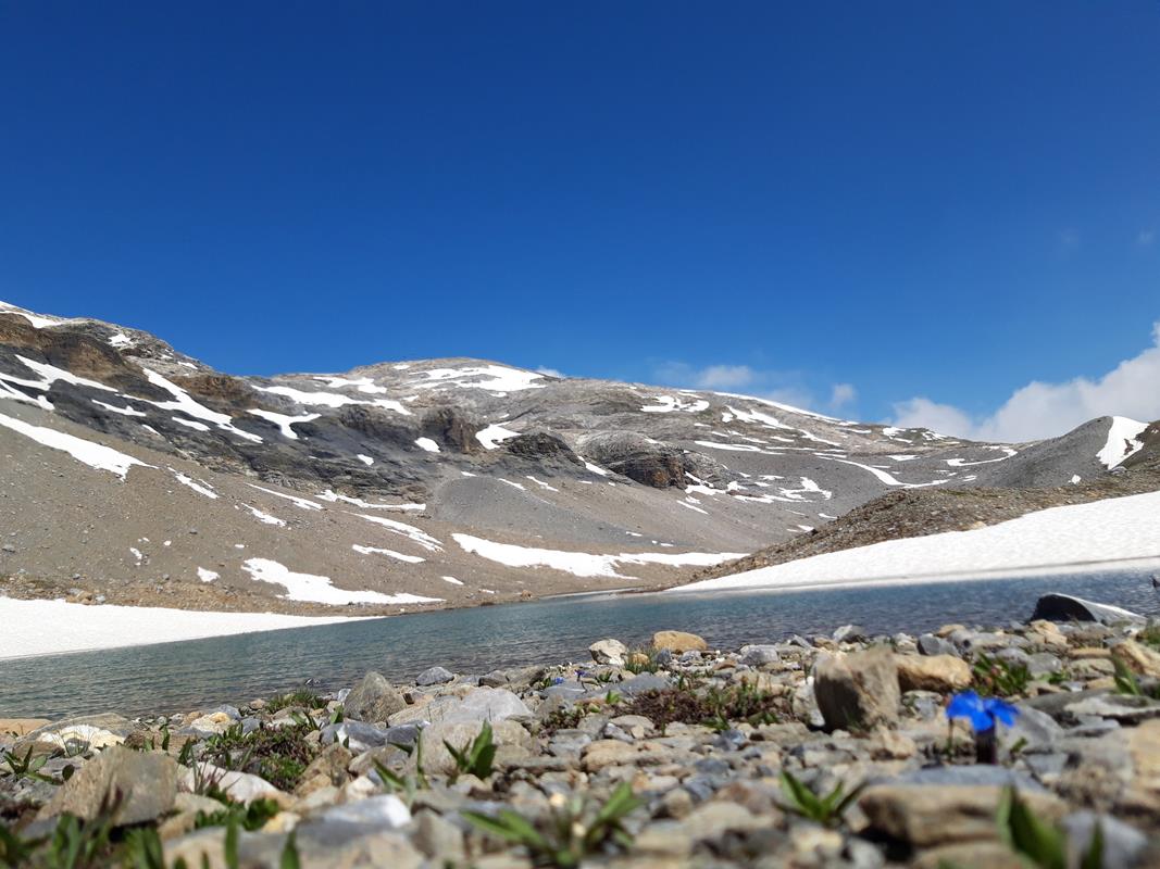 CVD Vanoise A046 21-07-2019