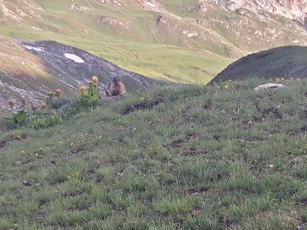 CVD Vanoise A060 21-07-2019