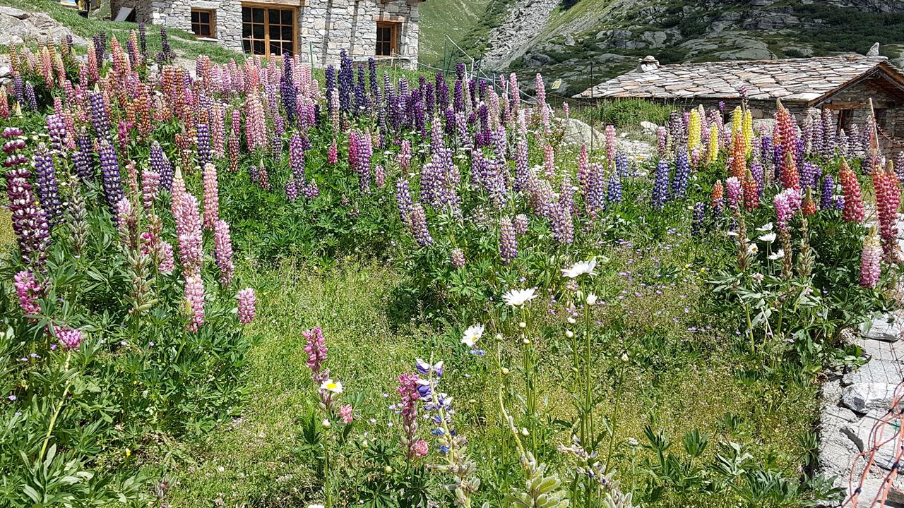 CVD Vanoise A086 21-07-2019