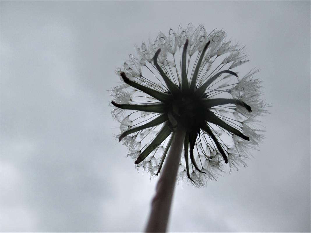 Doris A004 25-05-2019