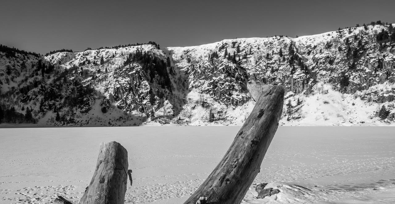 Arie A006 19-02-2019