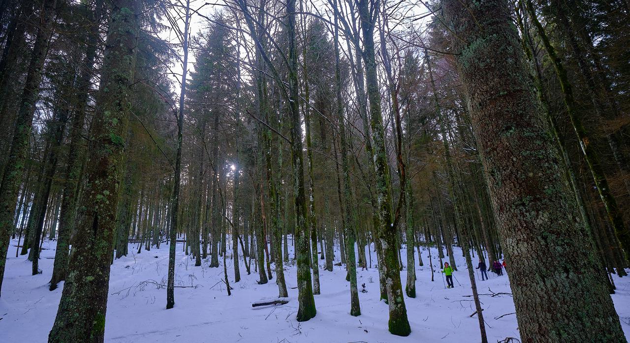 Arie WE Neige A004 23-02-2020