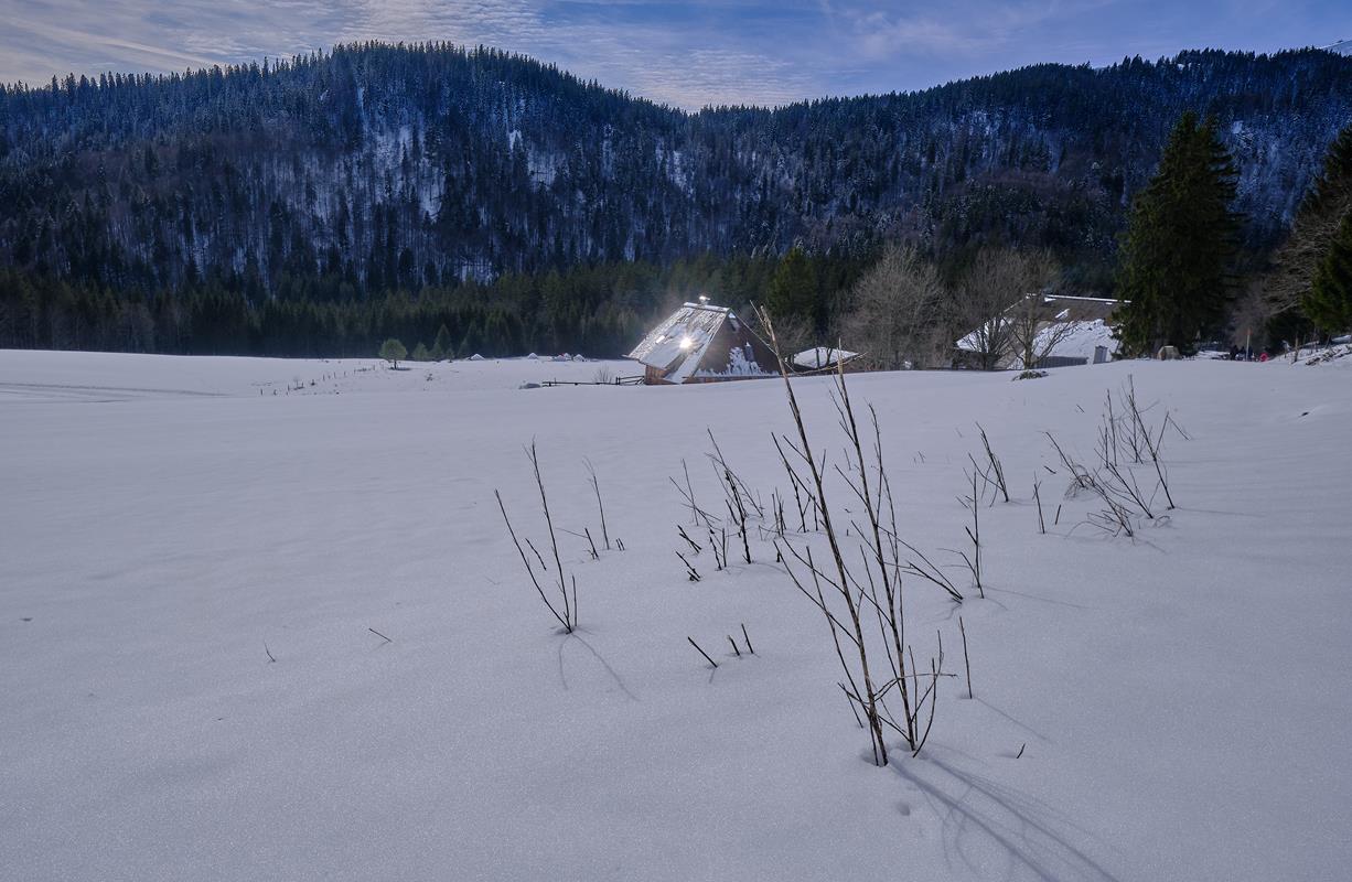 Arie WE Neige A007 23-02-2020
