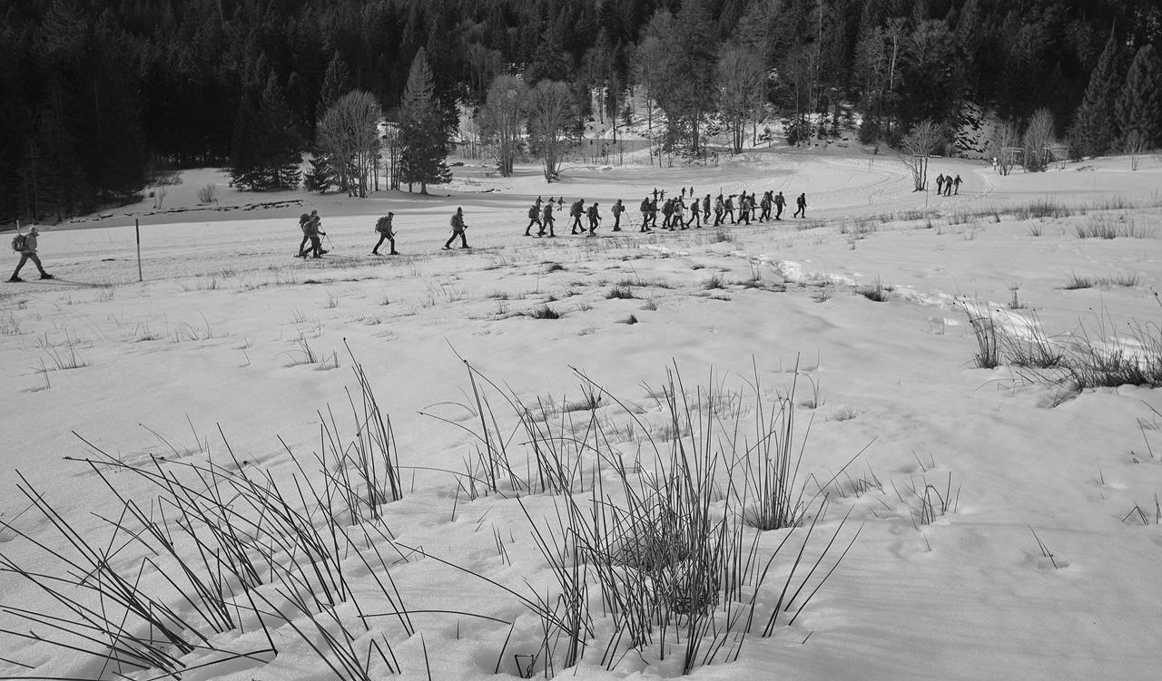Arie WE Neige A008 23-02-2020