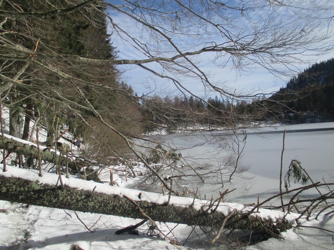Benoit WE Neige B013 23-02-2020