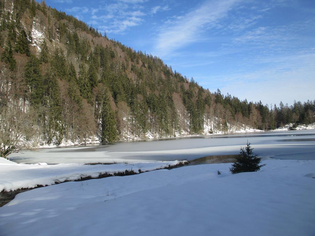 Benoit WE Neige B015 23-02-2020