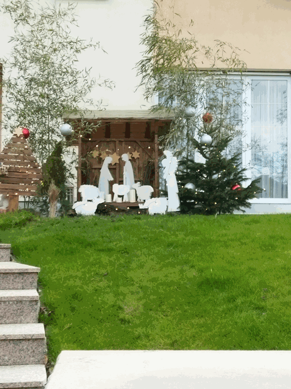 IMG 20211209 152643 Benoit 10-12-2021