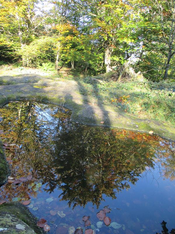 IMG 0316 Benoit 30-10-2021