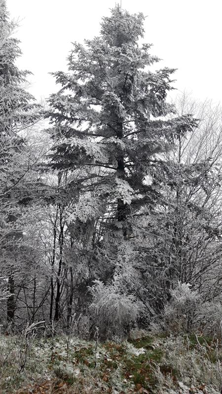 Photos3 Sortie Cloture 28-12-2022