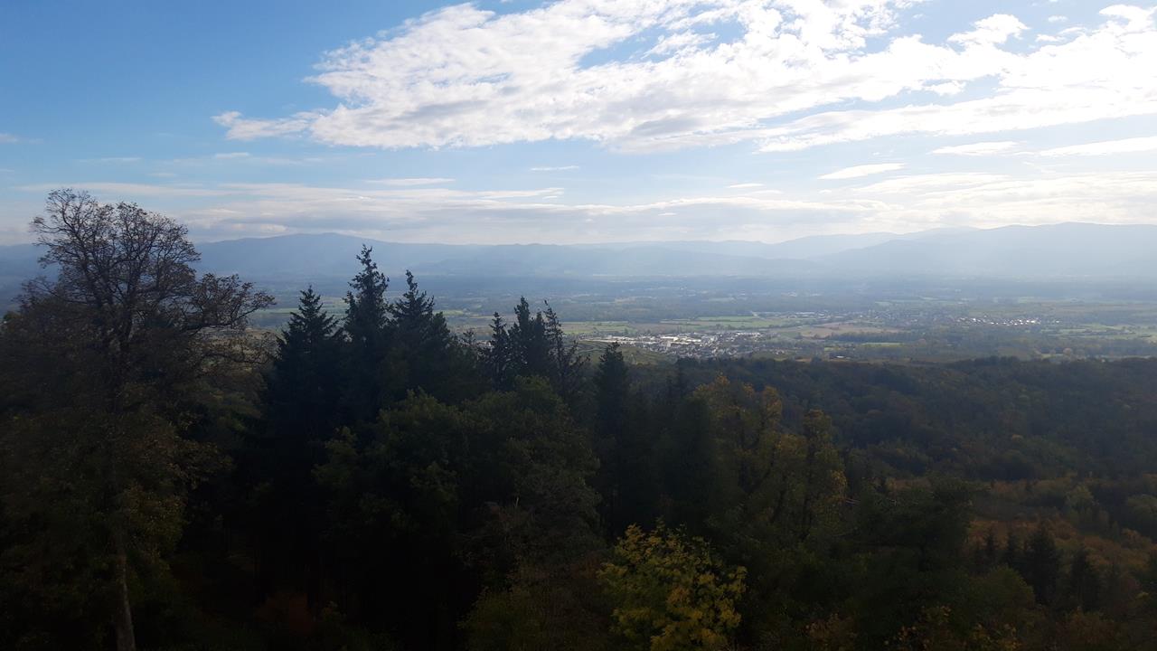 Photos7 Sortie du Mardi 29-10-2022